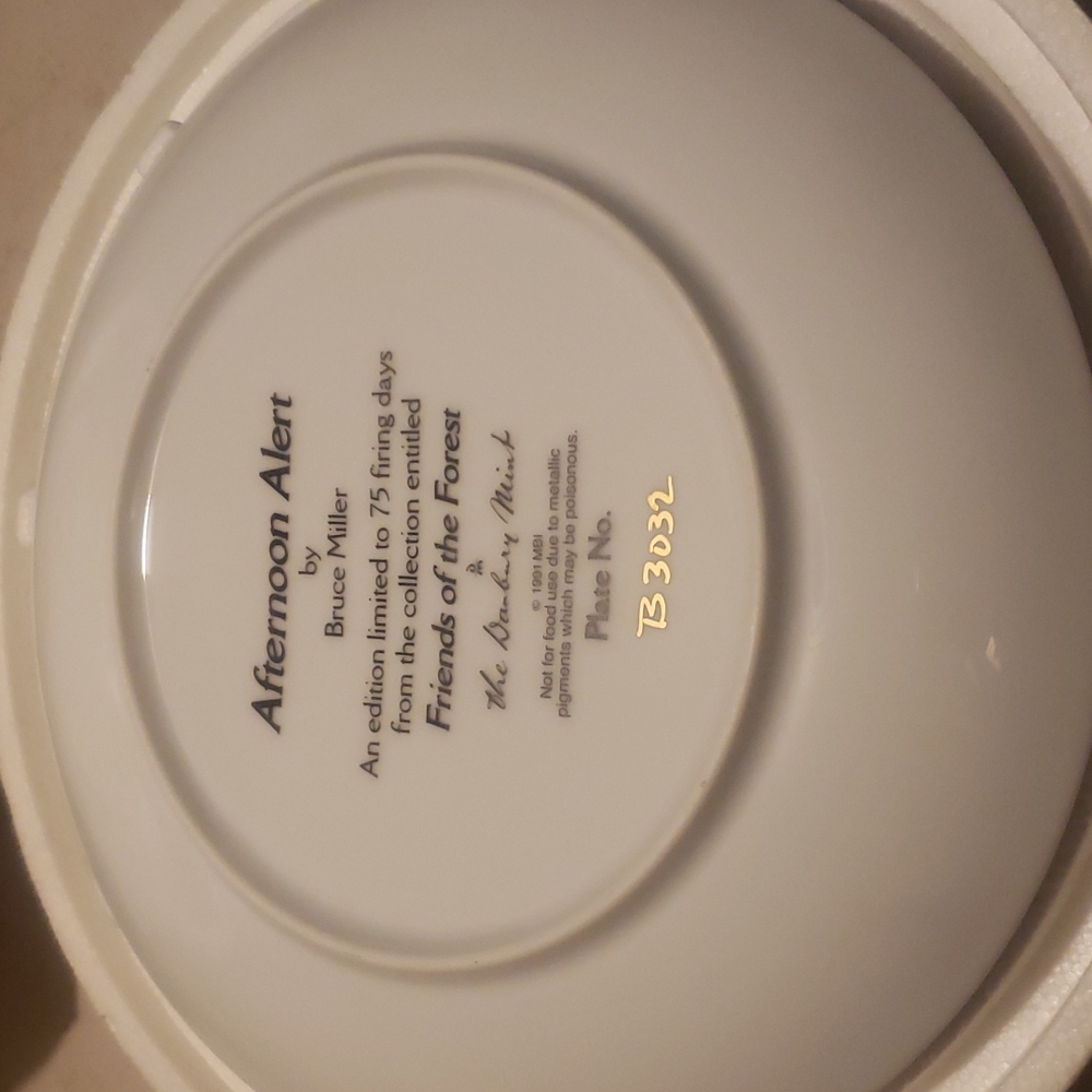 AFTERNOON  ALERT COLLECTOR PLATE - Picture 4 of 5